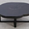 Couchtisch versteinertes Holz 49212