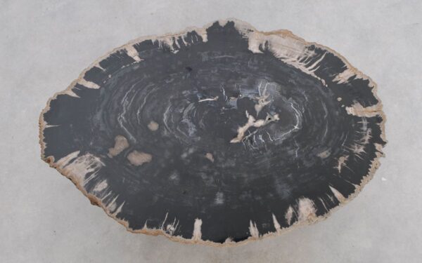Couchtisch versteinertes Holz 49227