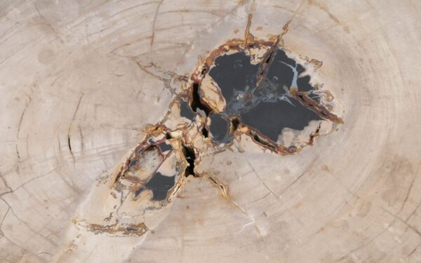 Couchtisch versteinertes Holz 49254
