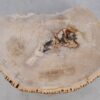 Couchtisch versteinertes Holz 49255