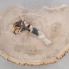 Couchtisch versteinertes Holz 49256