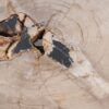 Couchtisch versteinertes Holz 49256