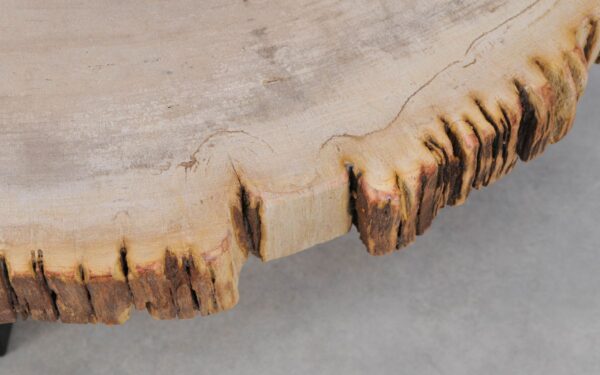 Couchtisch versteinertes Holz 49258