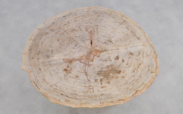 Couchtisch versteinertes Holz 49265