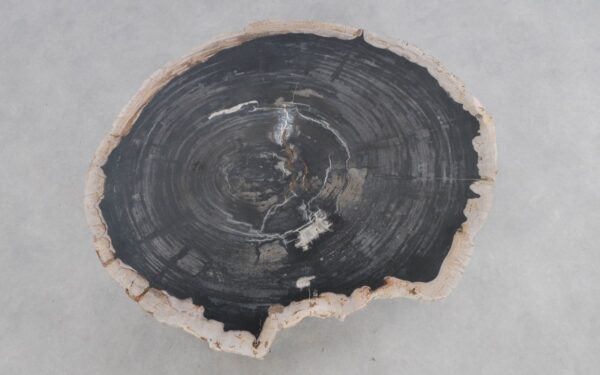 Couchtisch versteinertes Holz 49280