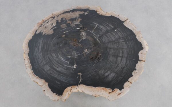 Couchtisch versteinertes Holz 49283