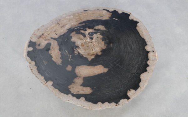 Couchtisch versteinertes Holz 49292