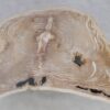 Couchtisch versteinertes Holz 49306