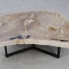 Couchtisch versteinertes Holz 49306