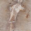Couchtisch versteinertes Holz 49306