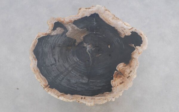 Couchtisch versteinertes Holz 49309