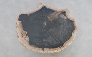 Couchtisch versteinertes Holz 49310