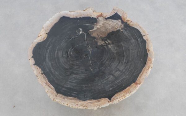Couchtisch versteinertes Holz 49312