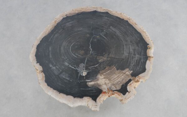 Couchtisch versteinertes Holz 49313
