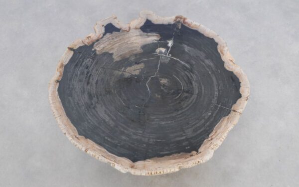 Couchtisch versteinertes Holz 49314