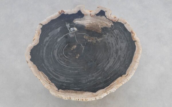 Couchtisch versteinertes Holz 49315
