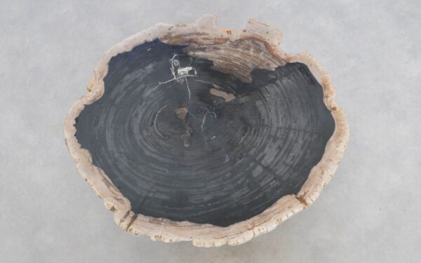Couchtisch versteinertes Holz 49316