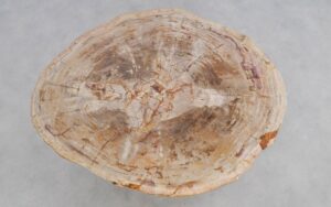Couchtisch versteinertes Holz 49381