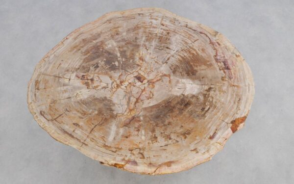 Couchtisch versteinertes Holz 49381