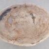 Mesa de centro madera petrificada 48141