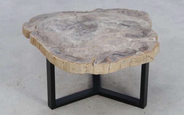 Mesa de centro madera petrificada 49174