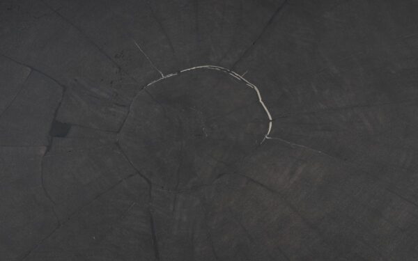 Mesa de centro madera petrificada 49211