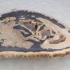 Mesa de centro madera petrificada 49263