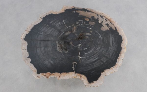 Mesa de centro madera petrificada 49282