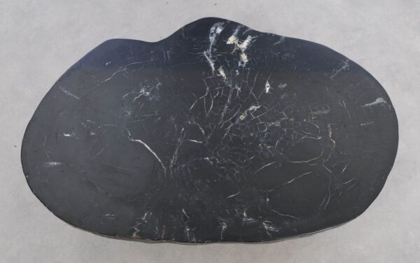 Mesa de centro madera petrificada 49398