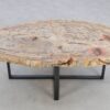 Salontafel versteend hout 48148