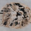 Salontafel versteend hout 49165