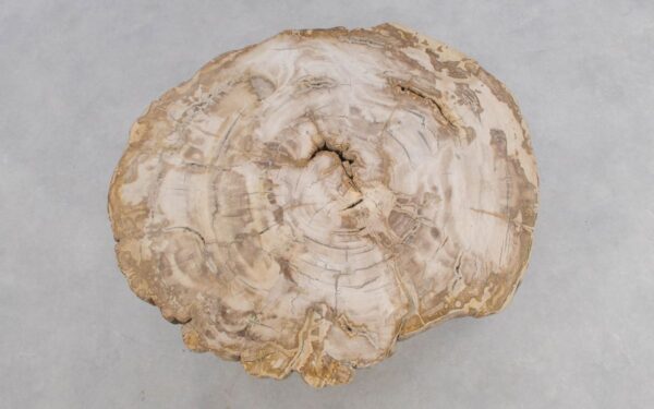 Salontafel versteend hout 49169