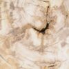 Salontafel versteend hout 49172