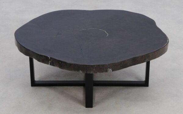 Salontafel versteend hout 49211