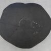 Salontafel versteend hout 49214