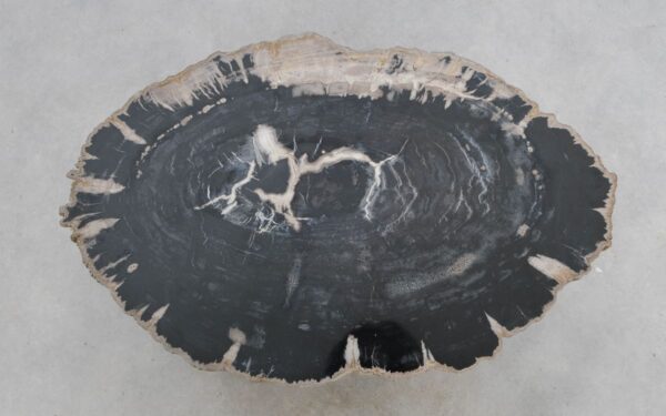 Salontafel versteend hout 49225