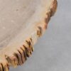 Salontafel versteend hout 49252