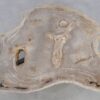 Salontafel versteend hout 49300
