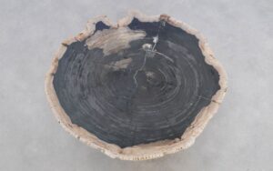 Salontafel versteend hout 49314
