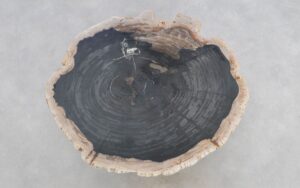 Salontafel versteend hout 49316