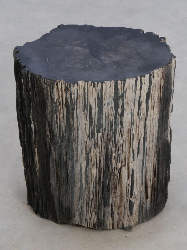 Side table petrified wood 48352