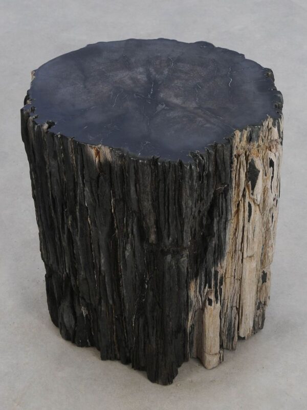 Side table petrified wood 48352