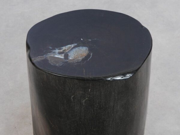Side table petrified wood 49001