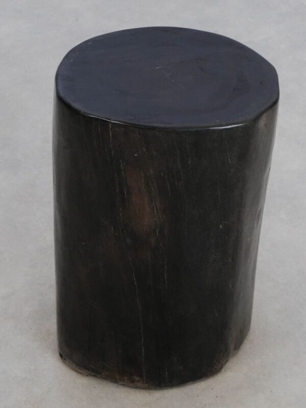 Side table petrified wood 49002