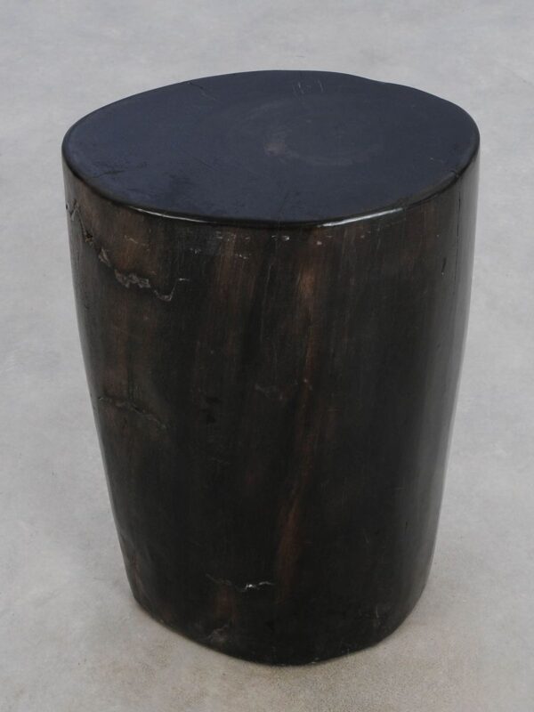 Side table petrified wood 49003