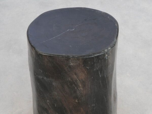 Side table petrified wood 49004