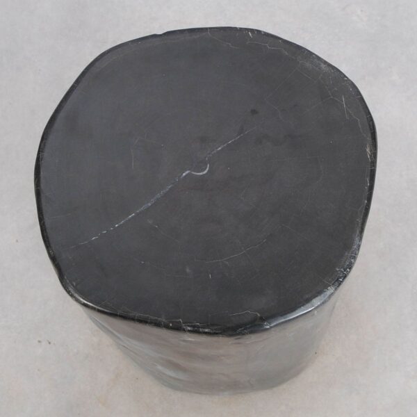 Side table petrified wood 49004