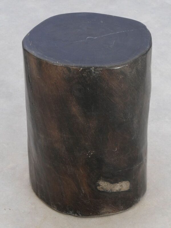 Side table petrified wood 49004