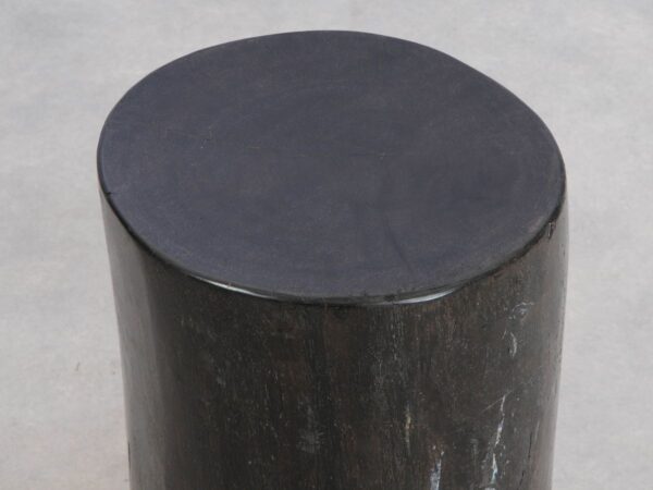 Side table petrified wood 49006