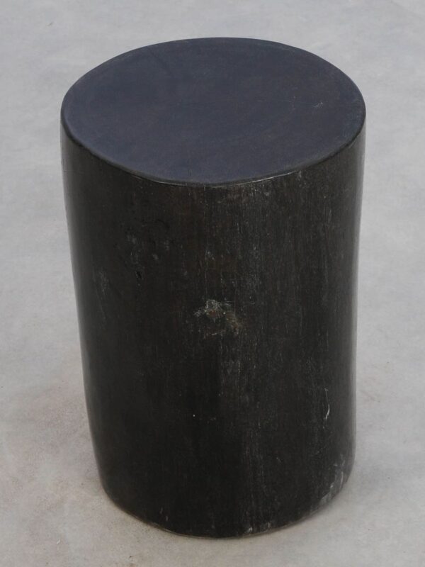 Side table petrified wood 49006